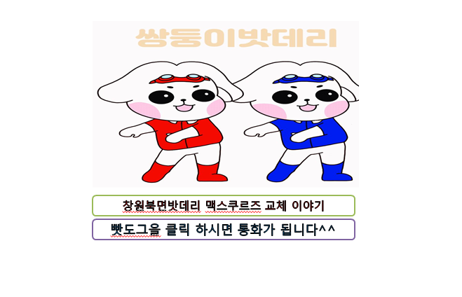맥스자동차밧데리할인점 이미지