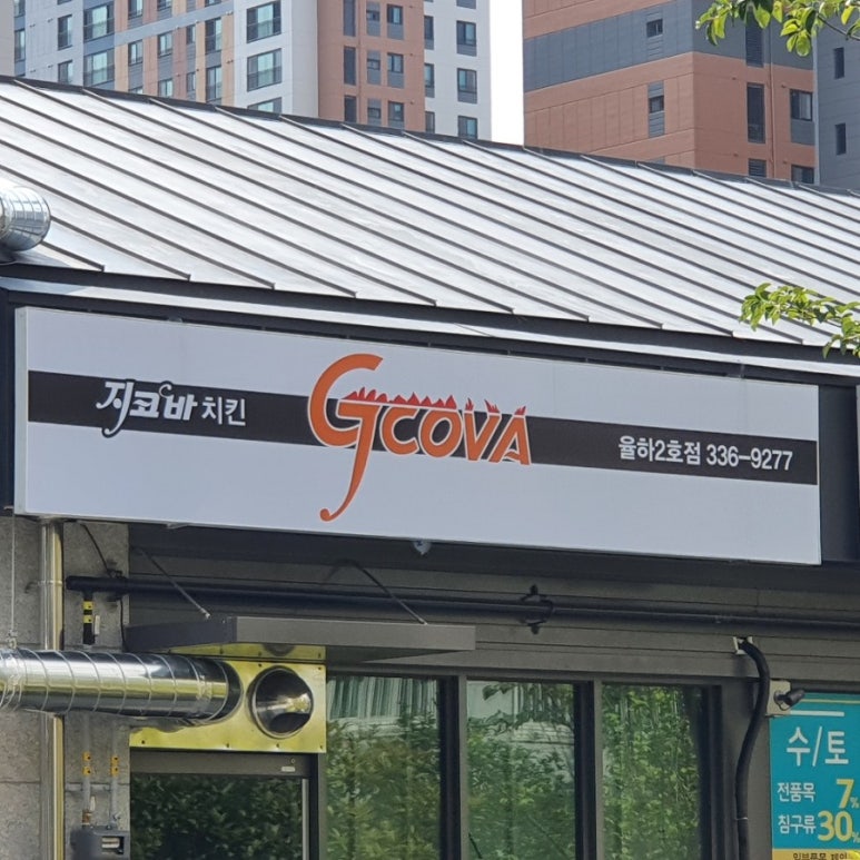 지코바율하 이미지