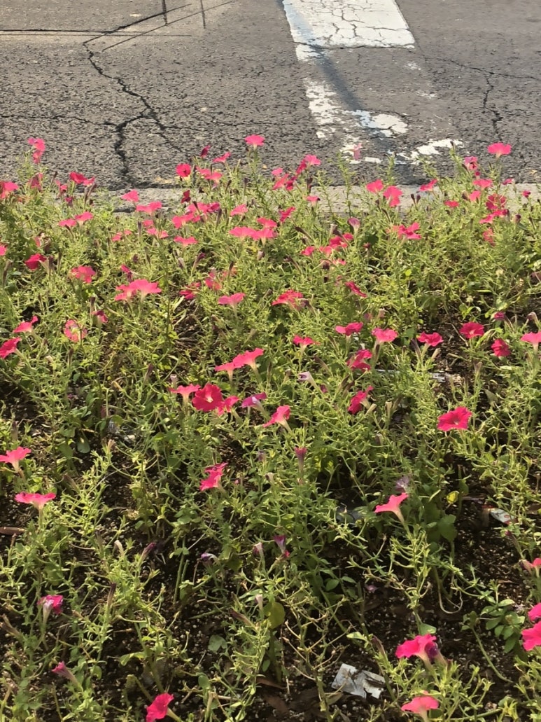 세림카센타 이미지