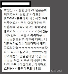 윌마 이미지