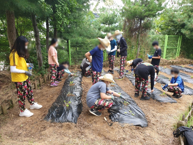 농부원예 이미지