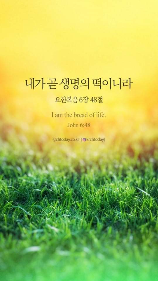 성경그릇 이미지