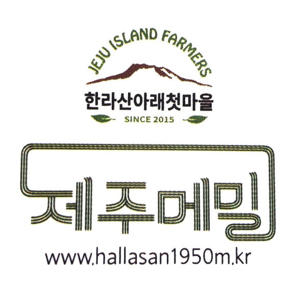 곱다시제주 이미지