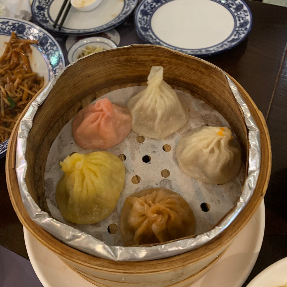 제이드 래빗 이미지