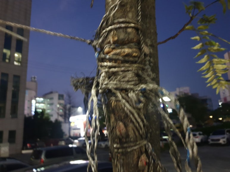 나래나무병원 이미지