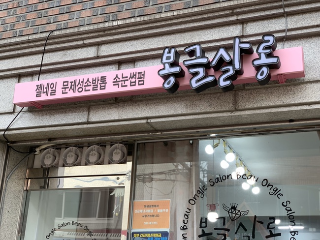 봉글살롱 이미지