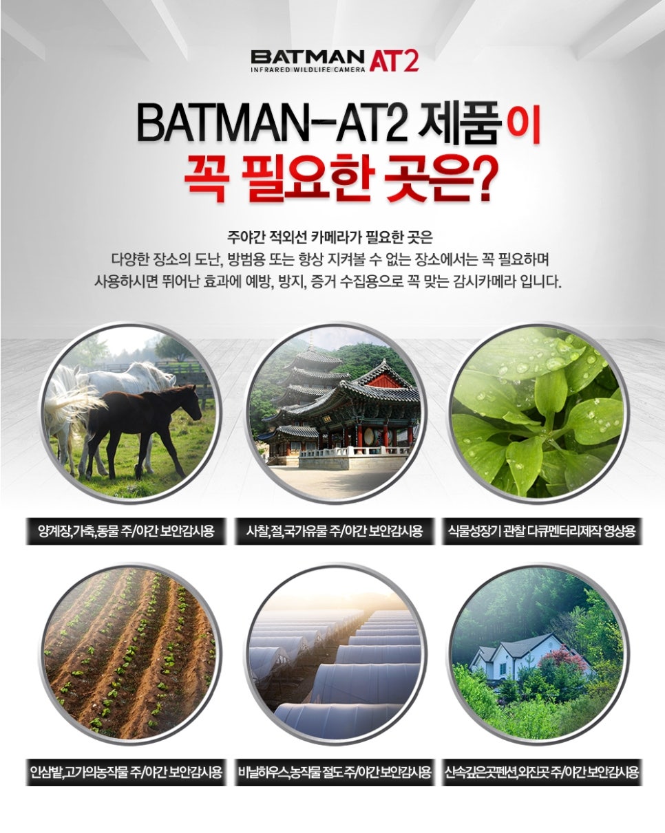 배감실 이미지