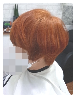 미가헤어라인 이미지