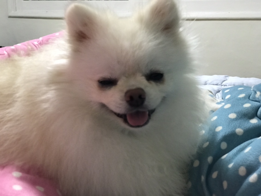 오늘도너는예쁘다 이미지
