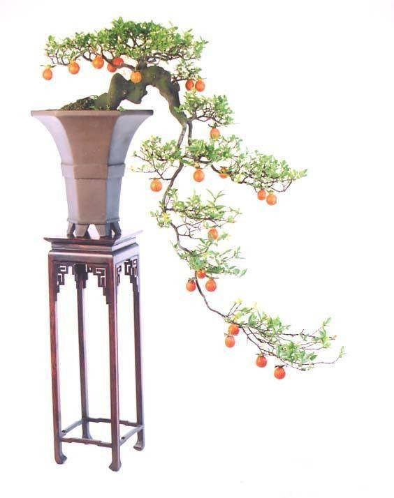 태경조경 이미지