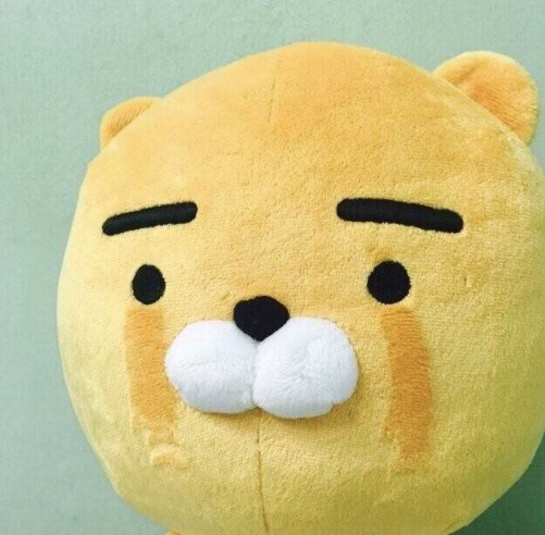 올라이스 이미지