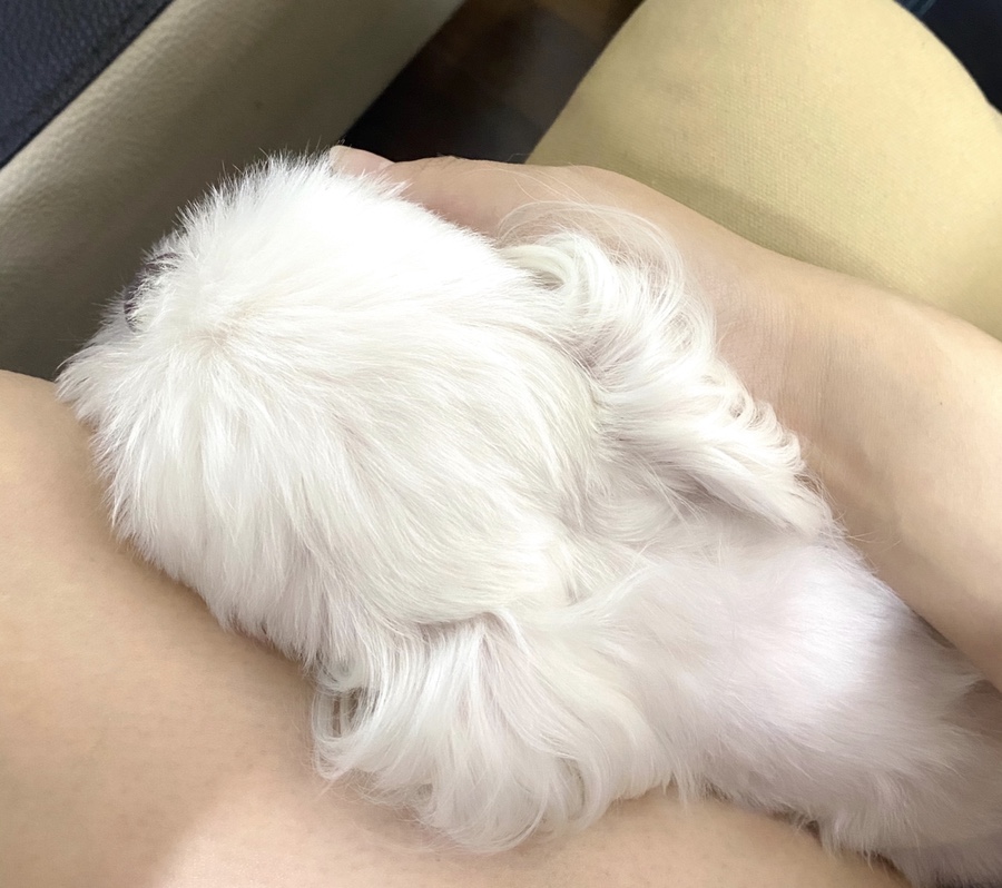 한담주차 이미지