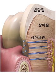 상아치과 이미지