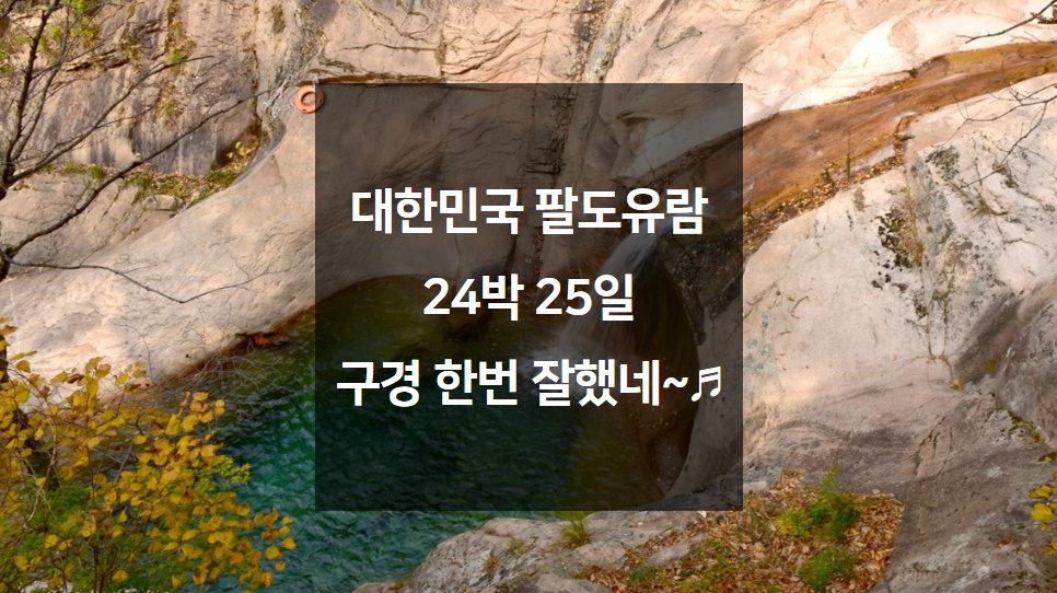 신지여행사 이미지