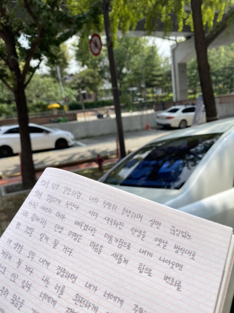 제노필 이미지