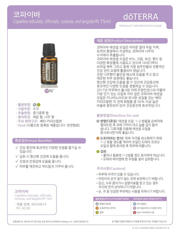 살롱드비 이미지