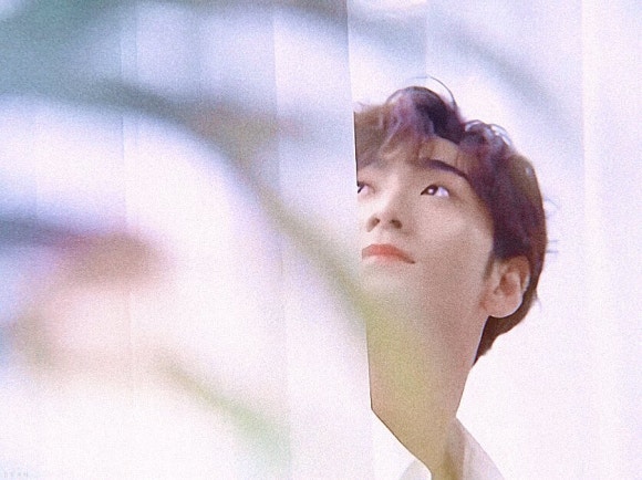 뷰티우드 이미지