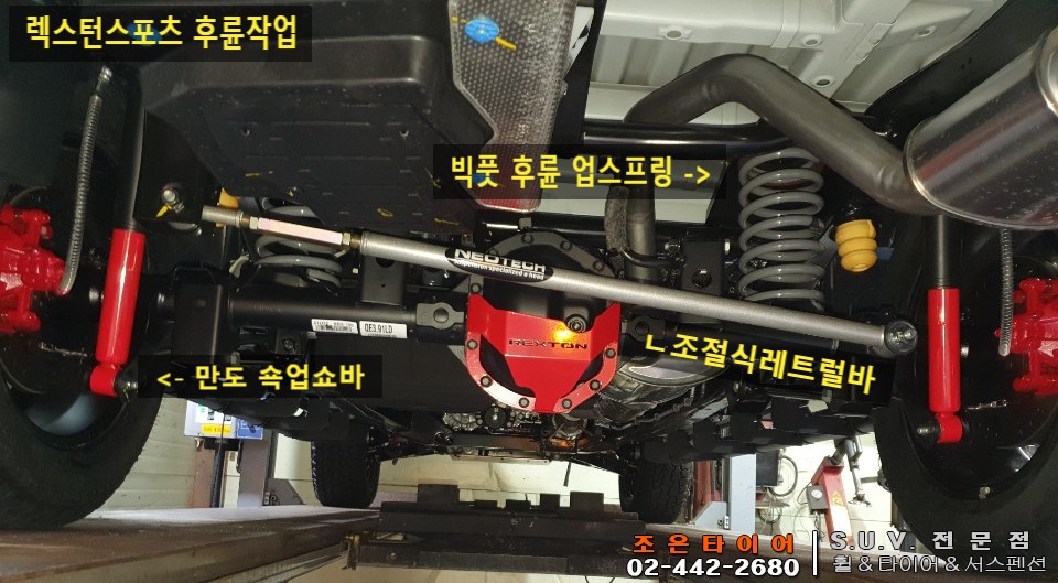 다이나믹스포츠 이미지