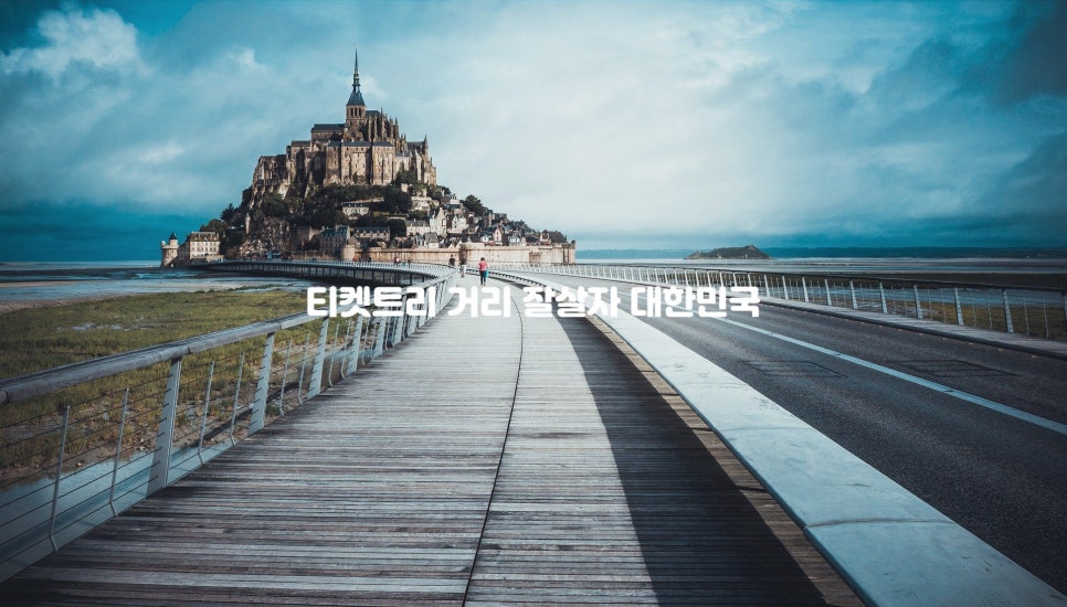 올리브트리카페 이미지