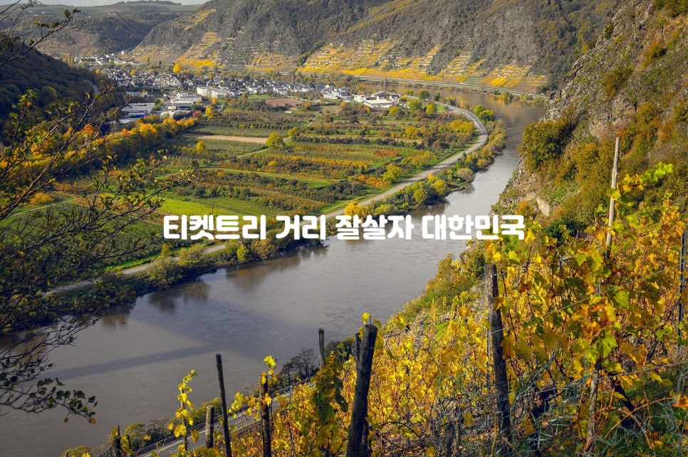 이마트미샤플러스 이미지