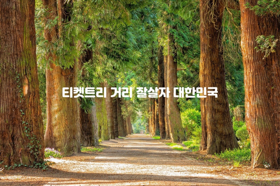 이마트미샤플러스 이미지