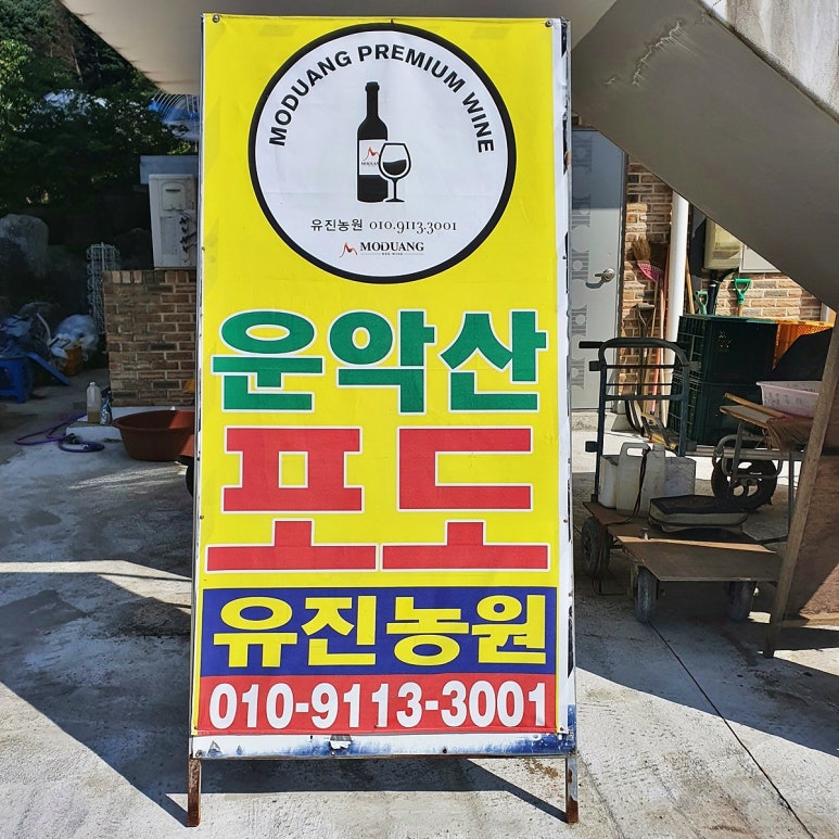 유진농원 이미지