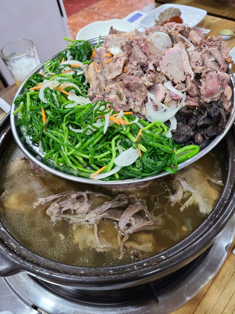 해왕낙지 이미지