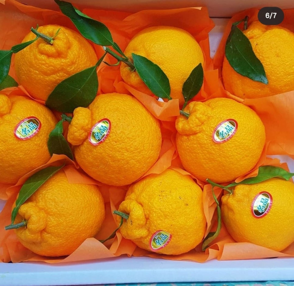 탑브릭스 이미지