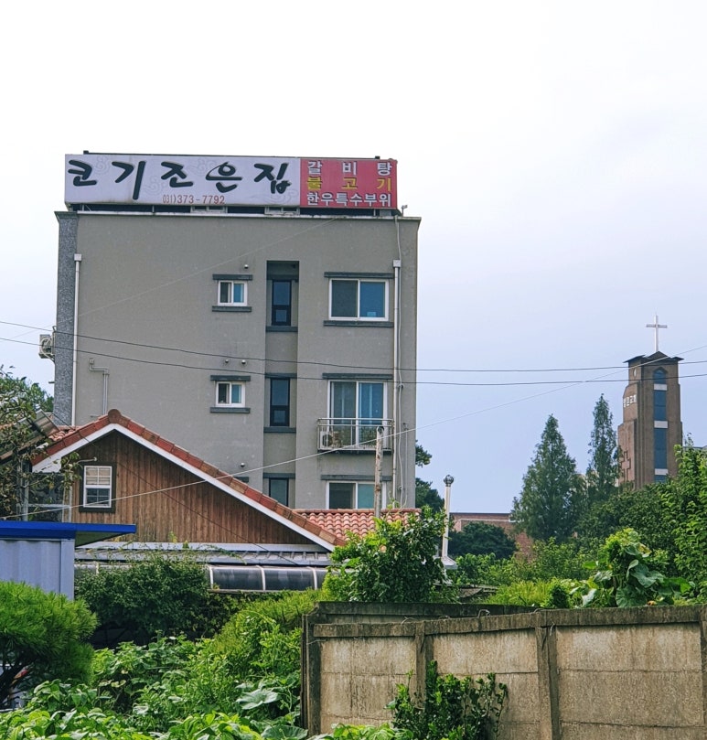 코기조은집 이미지