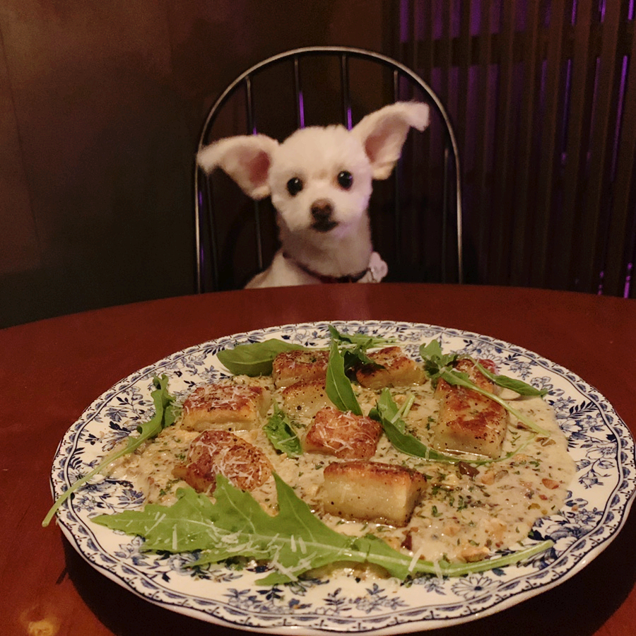 38도씨 식당 이미지