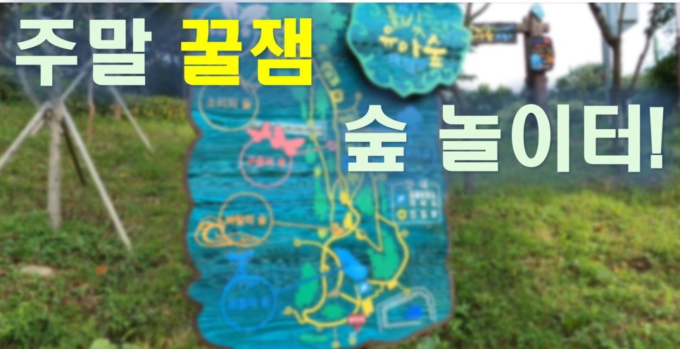 풀빛공원 유아숲체험원 이미지