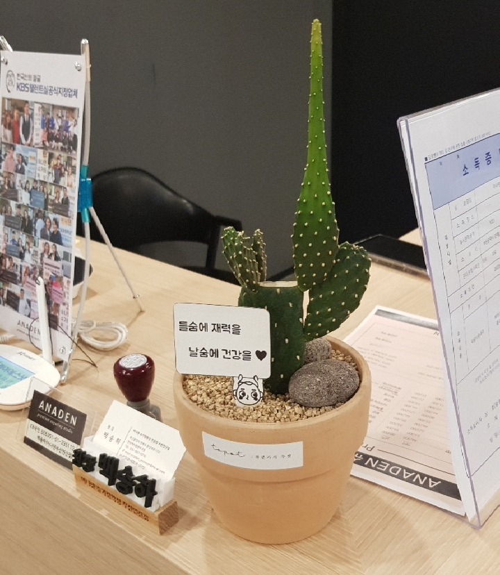 연산화분 이미지