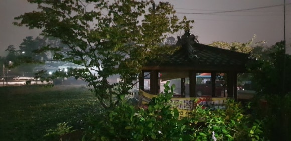 산들바람에꽃들래 이미지