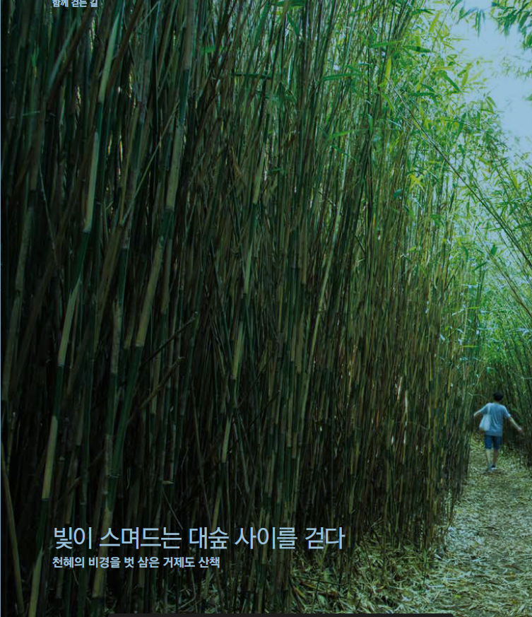 투어벗 이미지