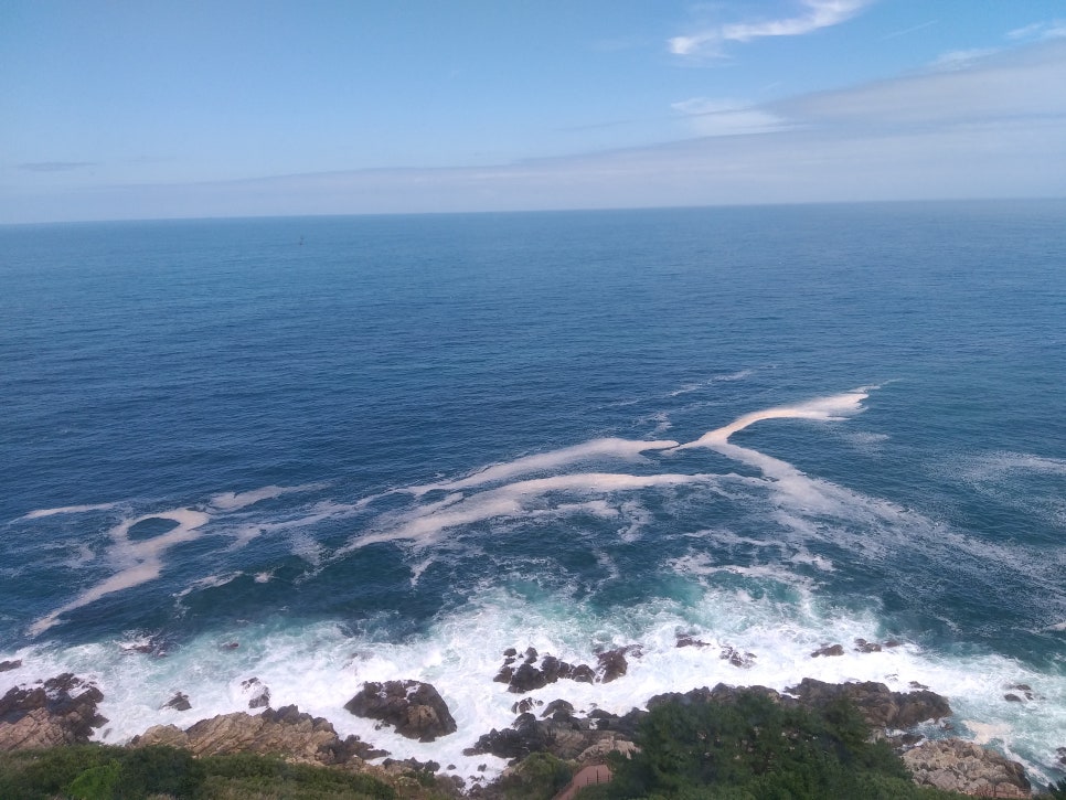 환동해문화연구소 이미지