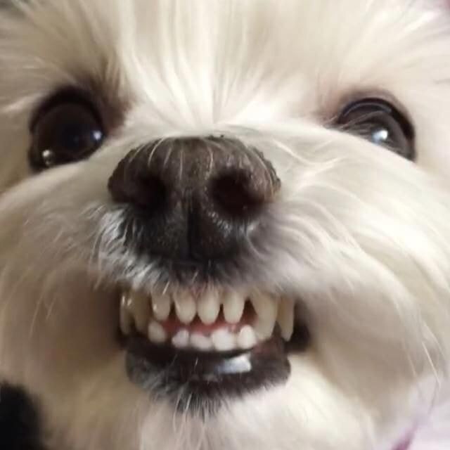 꾼2 이미지