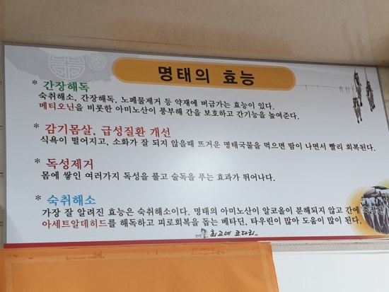 최고네코다리 이미지