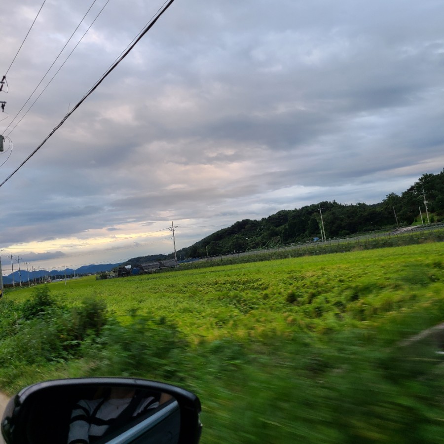 순천만왕새우직판장 이미지