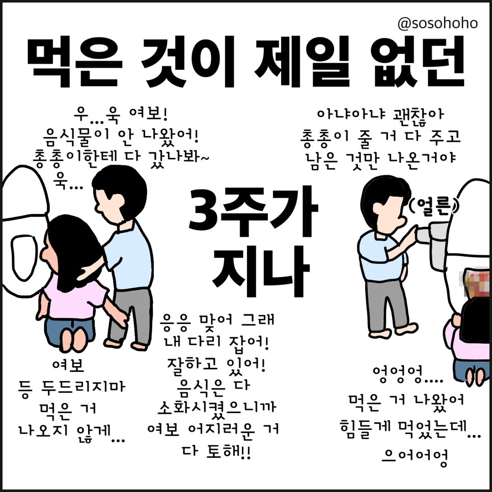 소소호호 이미지