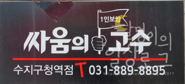 싸움의고수수지 이미지
