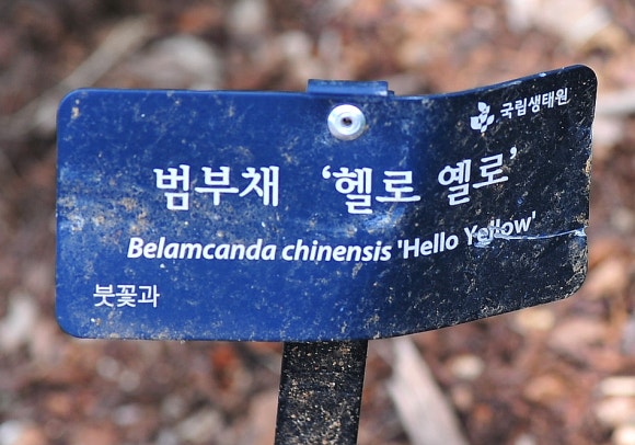 헬로옐로우 이미지