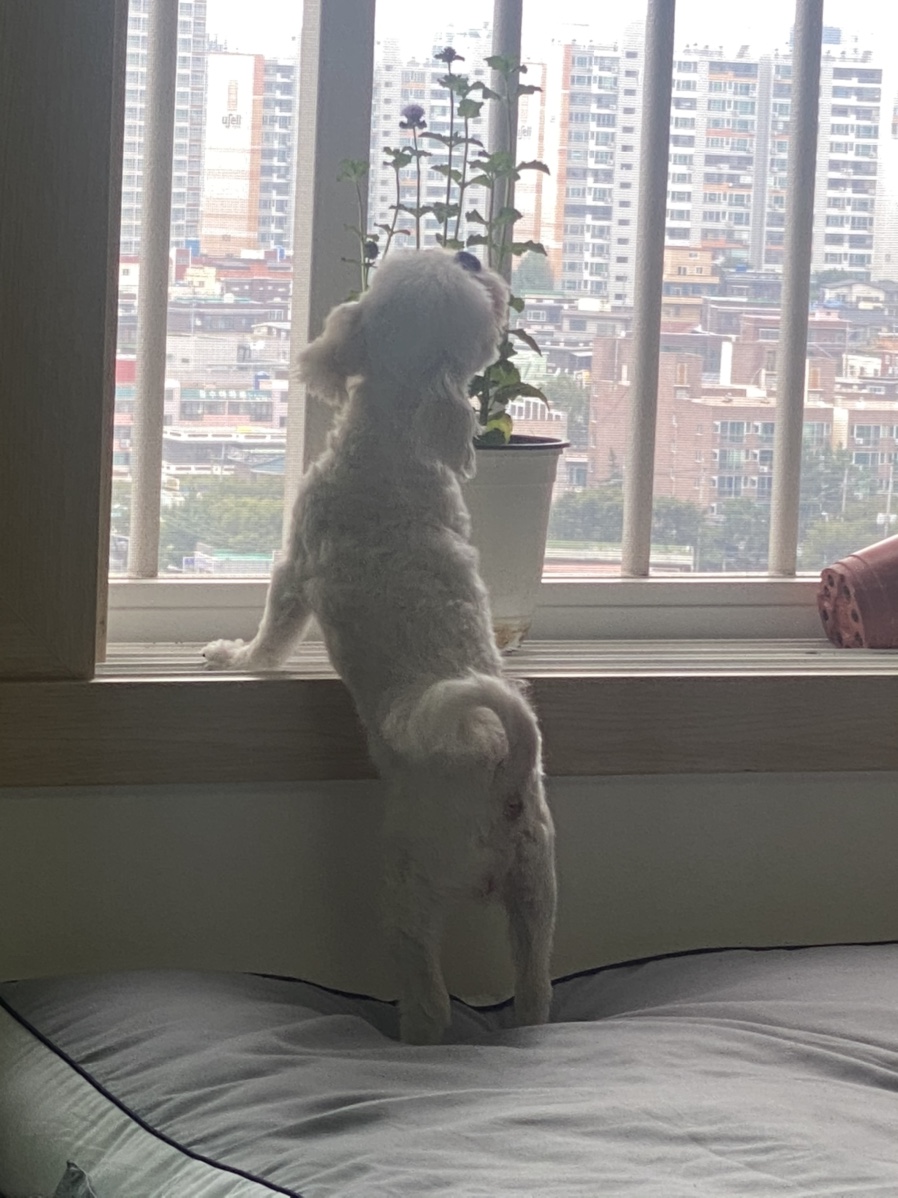 식물101 이미지