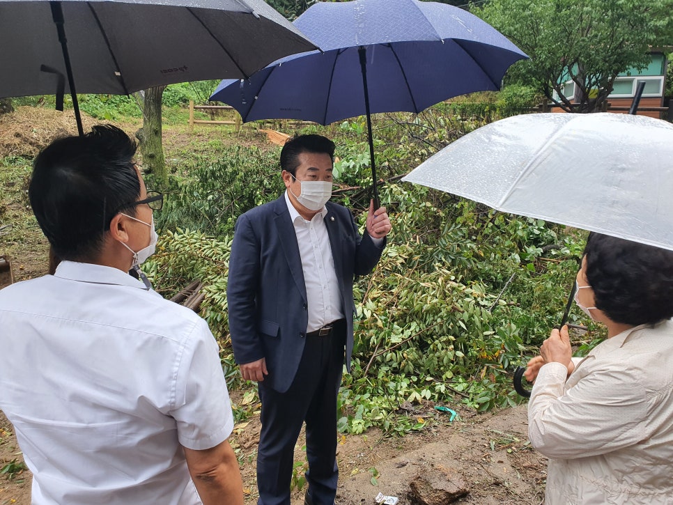 개웅산 유아숲체험원 이미지