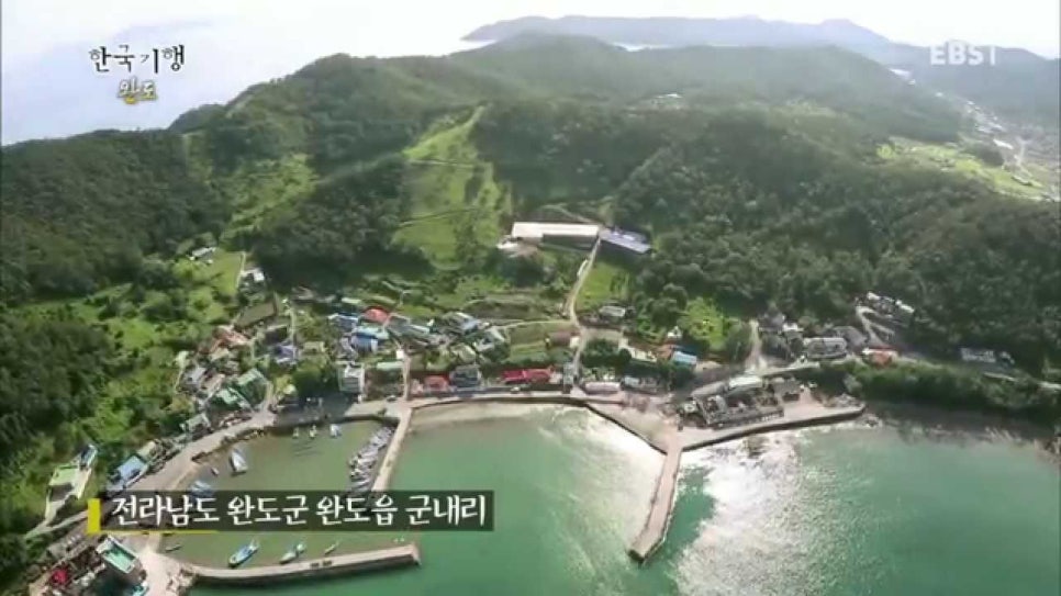 바이에른숲 이미지