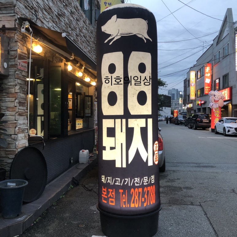 팔팔돼지(88돼지) 이미지