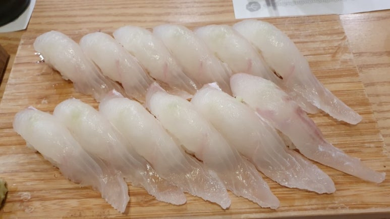스시광 이미지