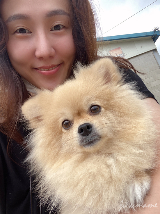 (주)진양 이미지