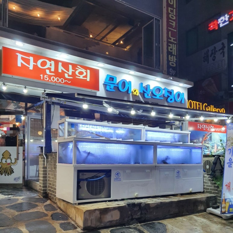 문어와산오징어 이미지