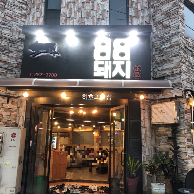팔팔돼지(88돼지) 이미지