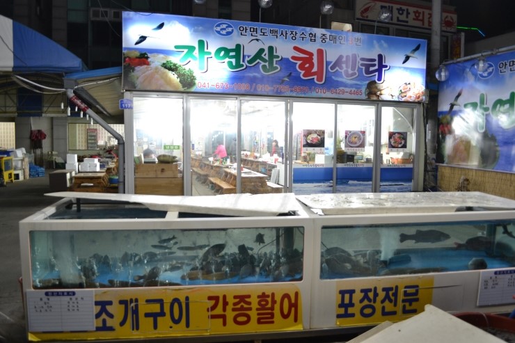 백사장회센타 이미지